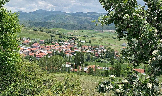 Altın madeni davasında yargıdan çelişkili karar